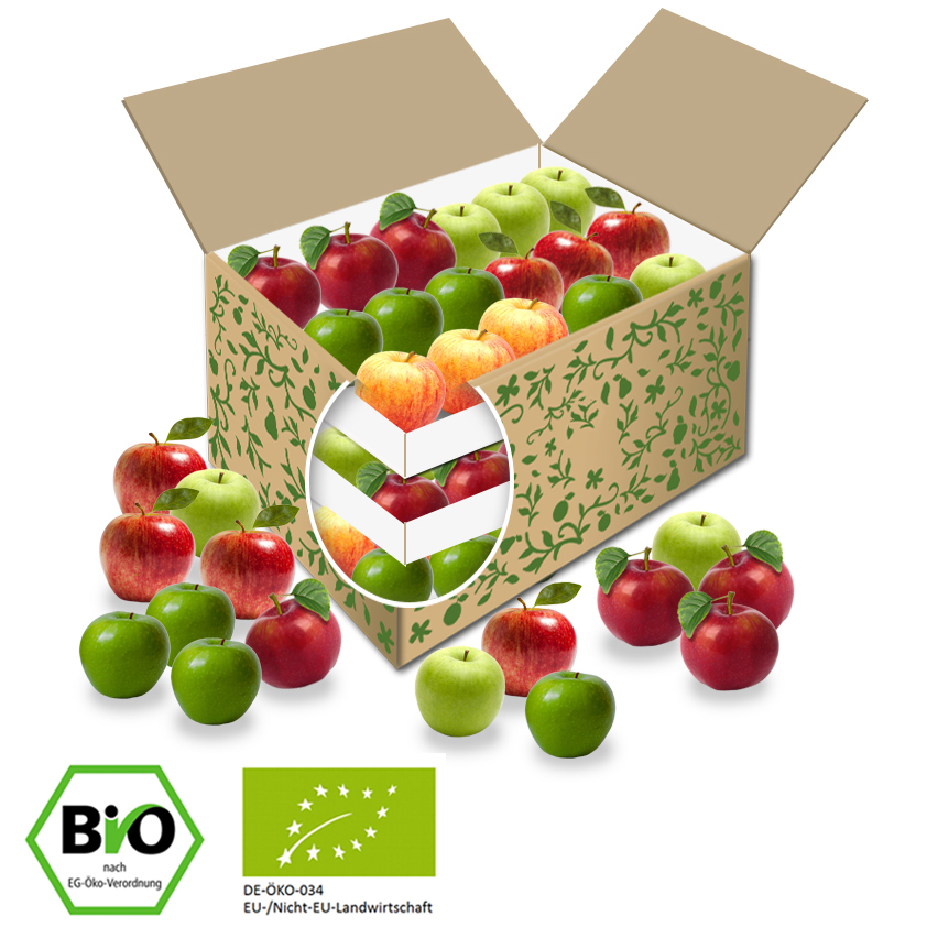 BIO Teambox Apfel